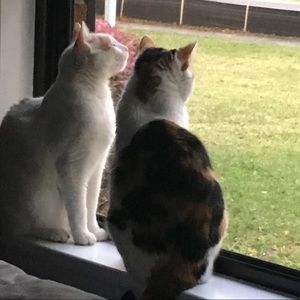 Meet your Posher, Angie